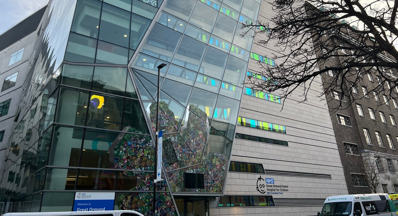 “I can hear you”: How Illness Perceptions Shape the Identity of Children with Rare Diseases 