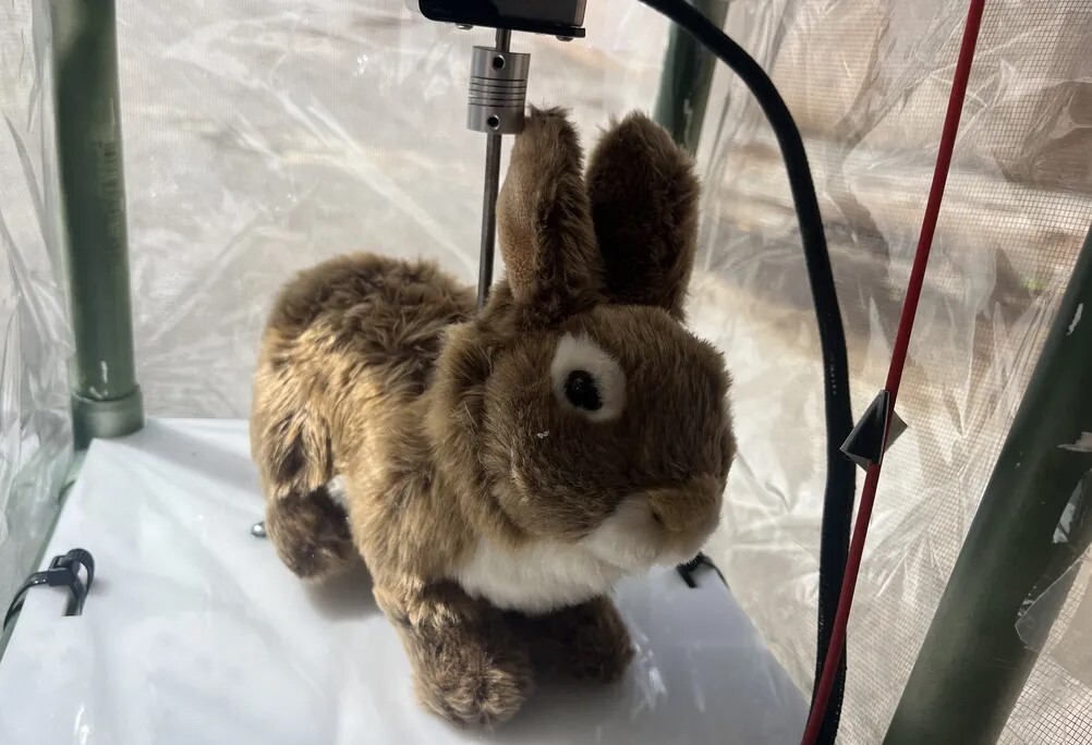 Scientists are experimenting with robotic rabbits in hopes of luring the destructive invasive Burmese Pythons in Florida