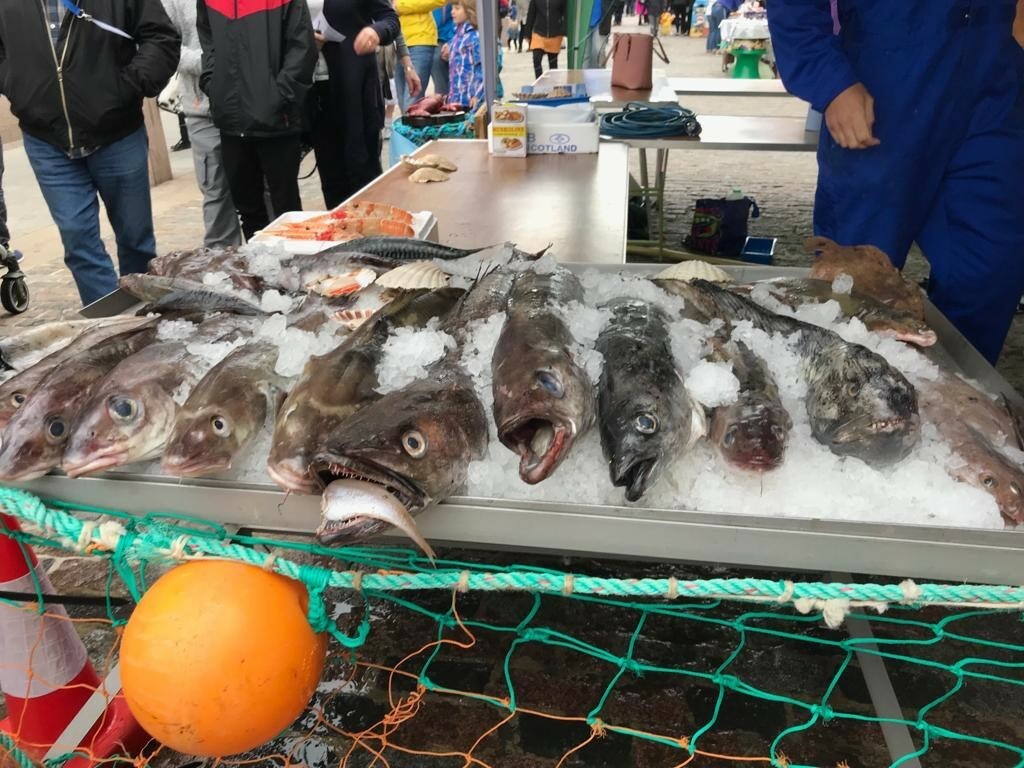 Mapping of UK seafood supplies reveals mismatches between production and consumption, and large losses of dietary nutrients through exports