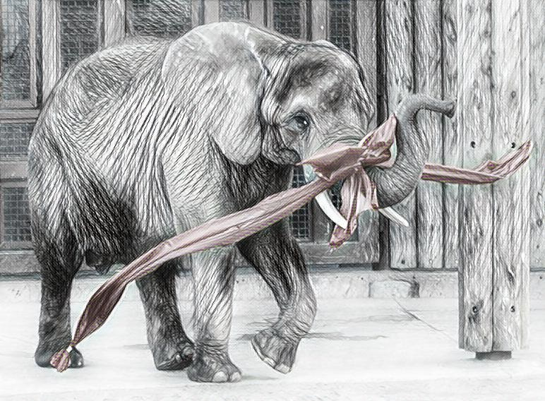 How a zoo elephant helps us understand megaherbivore migrations