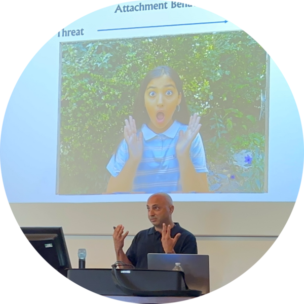 Go to the profile of Tsachi Ein Dor