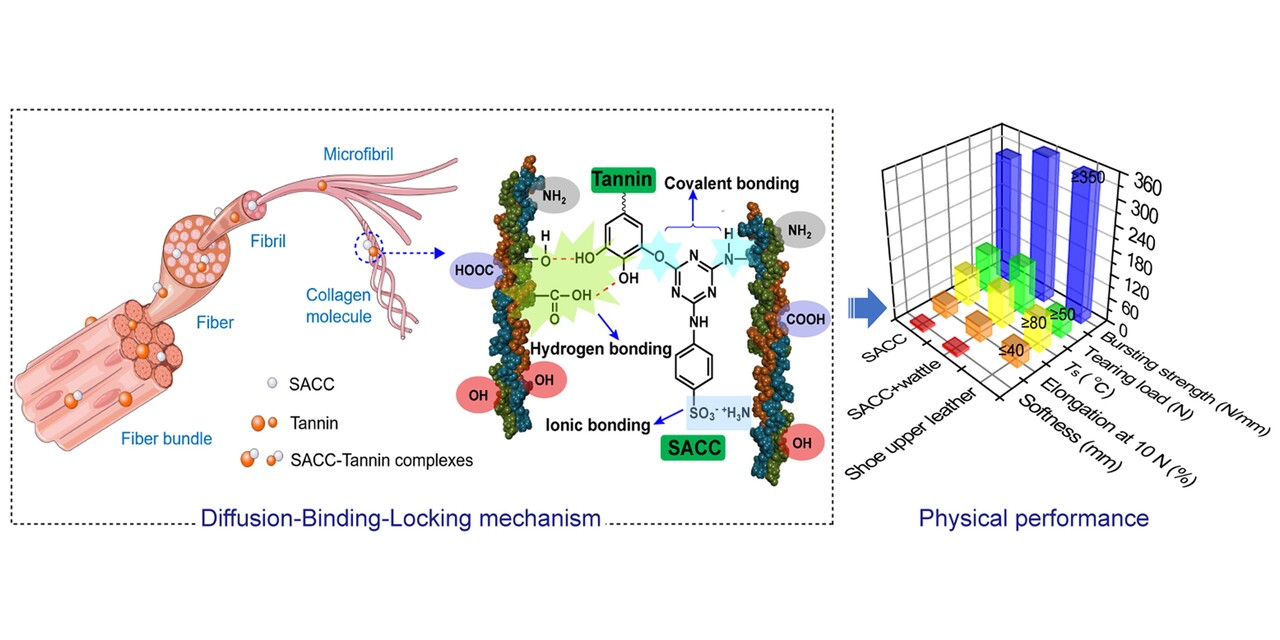 Sustainable metal-free leather manufacture via synergistic effects of triazine derivative and vegetable tannins