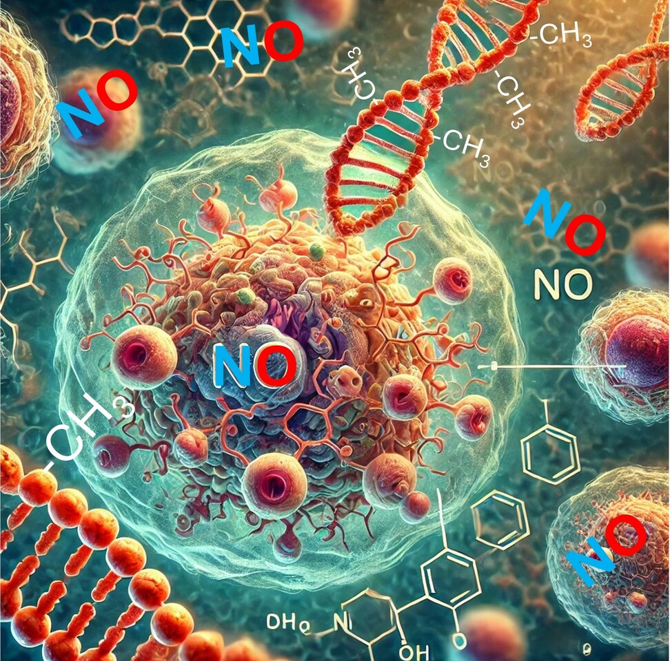 “NO Trespassing” how nitric oxide hijacks non-heme iron proteins to control the epigenome