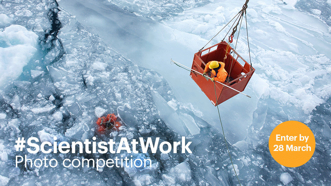 Take part in Nature’s photo competition