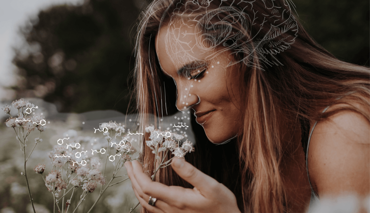 Olfactory Research Needs More Data: A Dataset of Laymen Olfactory Perception for 74 Mono-Molecular Odors