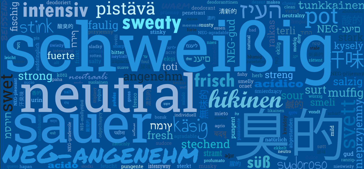 From sweaty to sour - creating a lexicon of body odor words from 13 languages