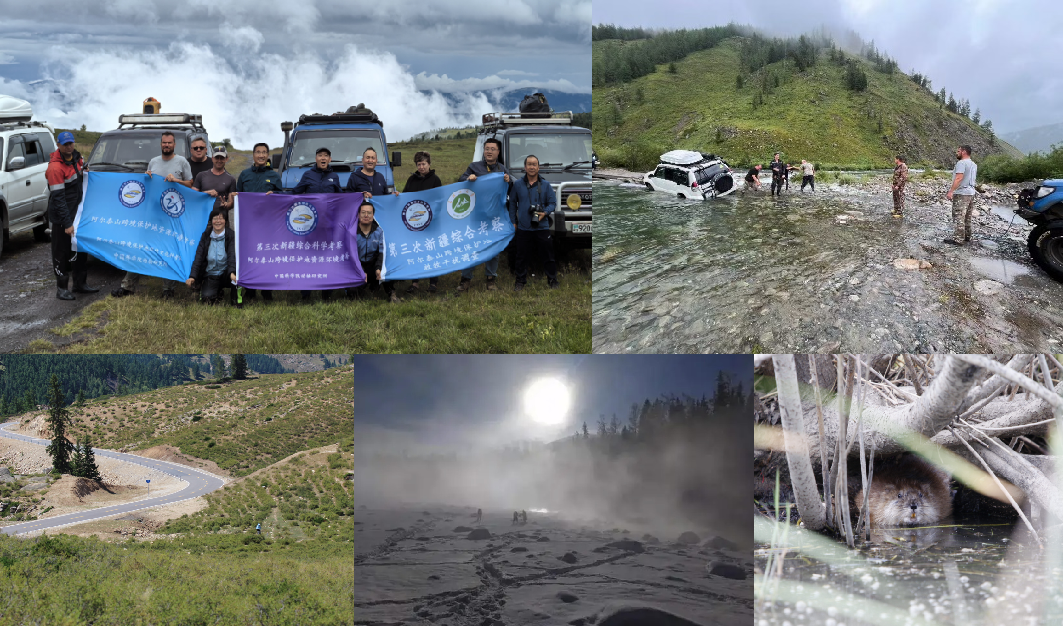 More attentions are needed for biodiversity conservation in global borders