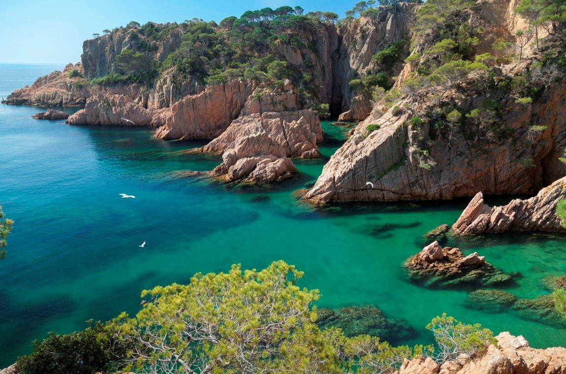 FEBS Advanced Course on Biological Surfaces and Interfaces