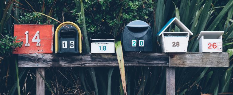 Viral communication is key to survival