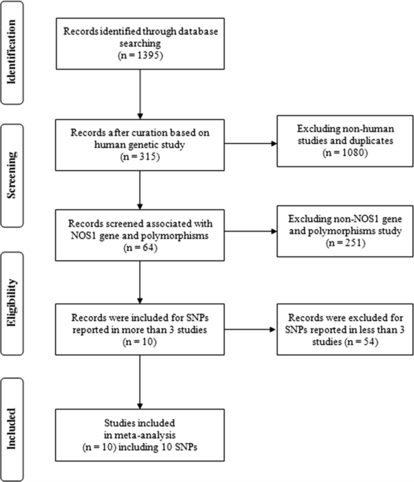 Association Between NOS1 Gene Polymorphisms and Schizophrenia in Asian and Caucasian Populations: A Meta-Analysis