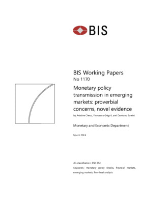Documentos de Trabajo | Sesión III - Damiano Sandri - Transmisión de la política monetaria en economías con mercados emergentes y efectos de contagio global