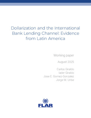 Documentos de trabajo | Dollarization and the International Bank Lending Channel | 2025