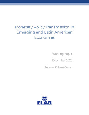 Documento de trabajo | Monetary Policy Transmission in Emerging and Latin American Economies
