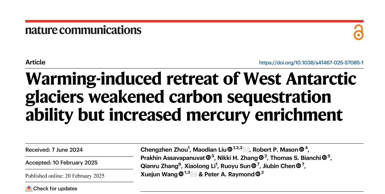 Warming May Weaken Carbon Sequestration in Southern Ocean Marginal Seas While Amplifying Mercury Accumulation