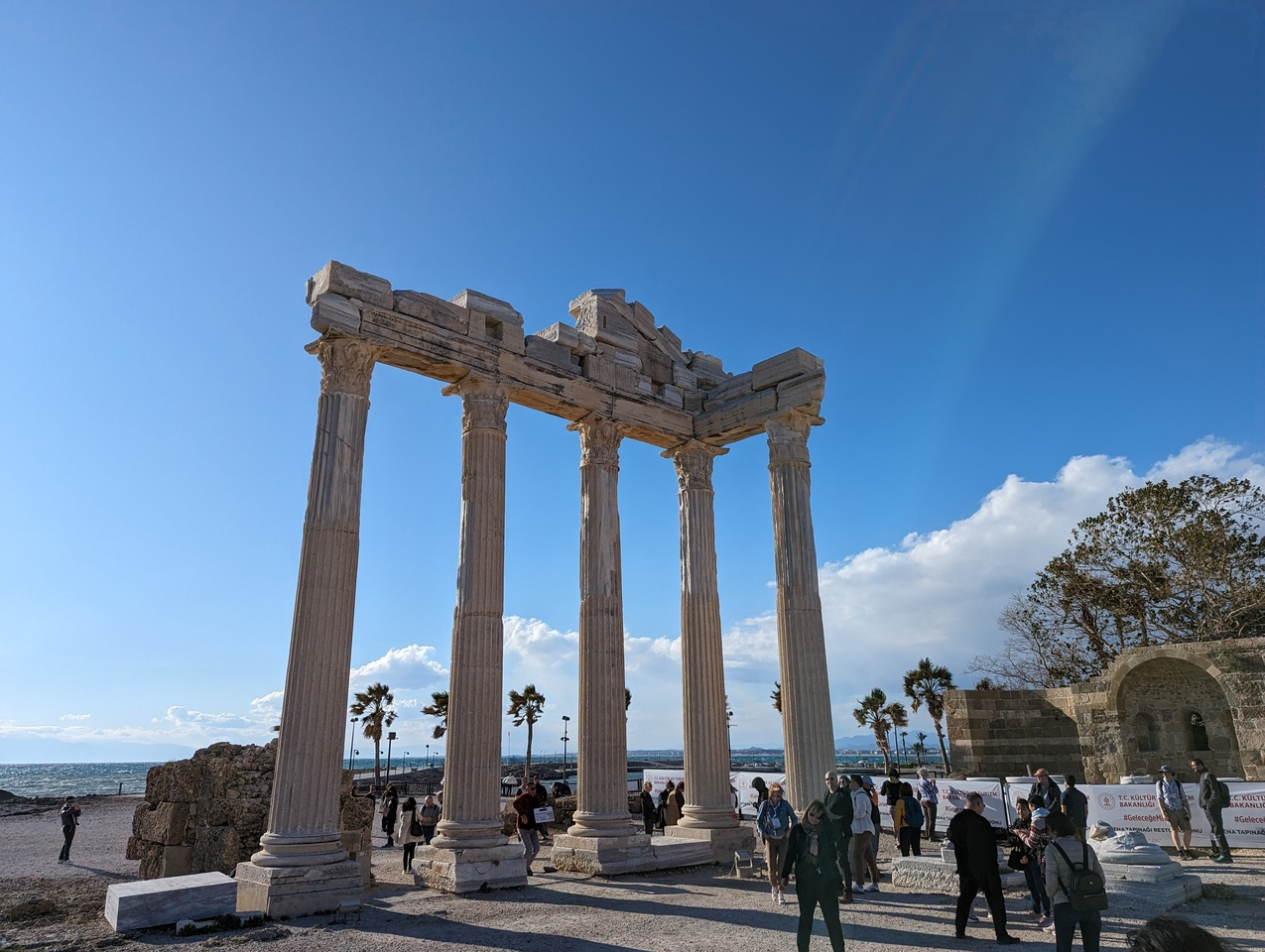 Building Confidence and Community: Reflections on FEBS ETC 2024 as an early career researcher… and anticipation for ETC 2026