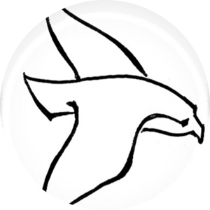 Go to the profile of Sardar Amiri