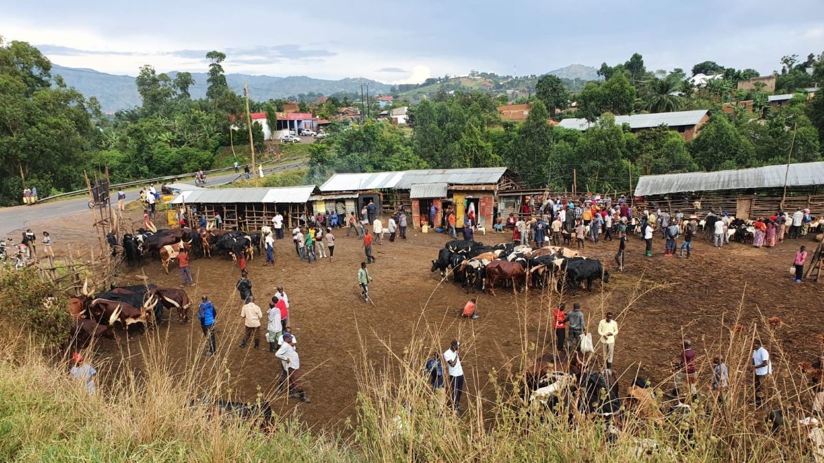 From Uganda to the UK: Lessons in Viral Sequencing