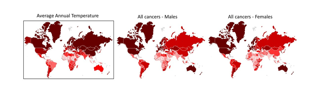 Cancer risk and evolutionary adaptation