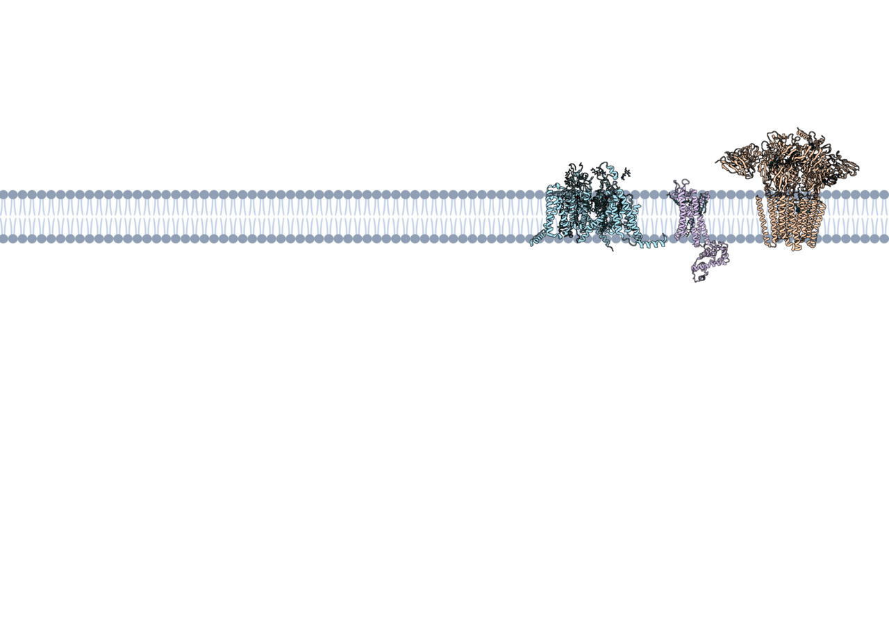 A Quantitative Analysis of Ligand Binding at the Protein-Lipid Bilayer Interface