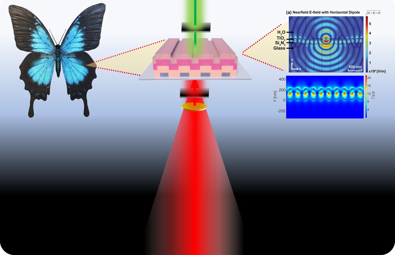 From Shadow to Spotlight: Dequenching the Quenched Fluorescence with Cryosoret Nanoassembly and Photonic Crystal Technologies