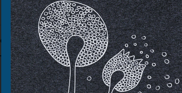 HIV/AIDS in Memory, Culture and Society   