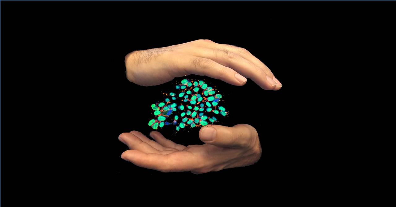 Towards saving the failing heart with stem cell therapy