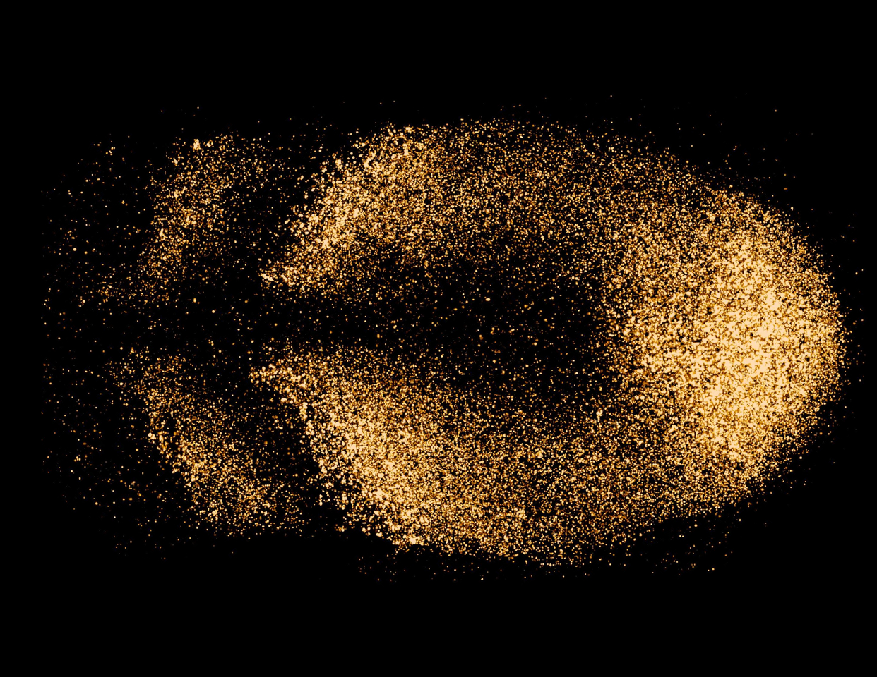 Functional Roles of DeltaC and DeltaD in Zebrafish Segmentation Clock: A Novel Positive Feedback in Notch Signaling