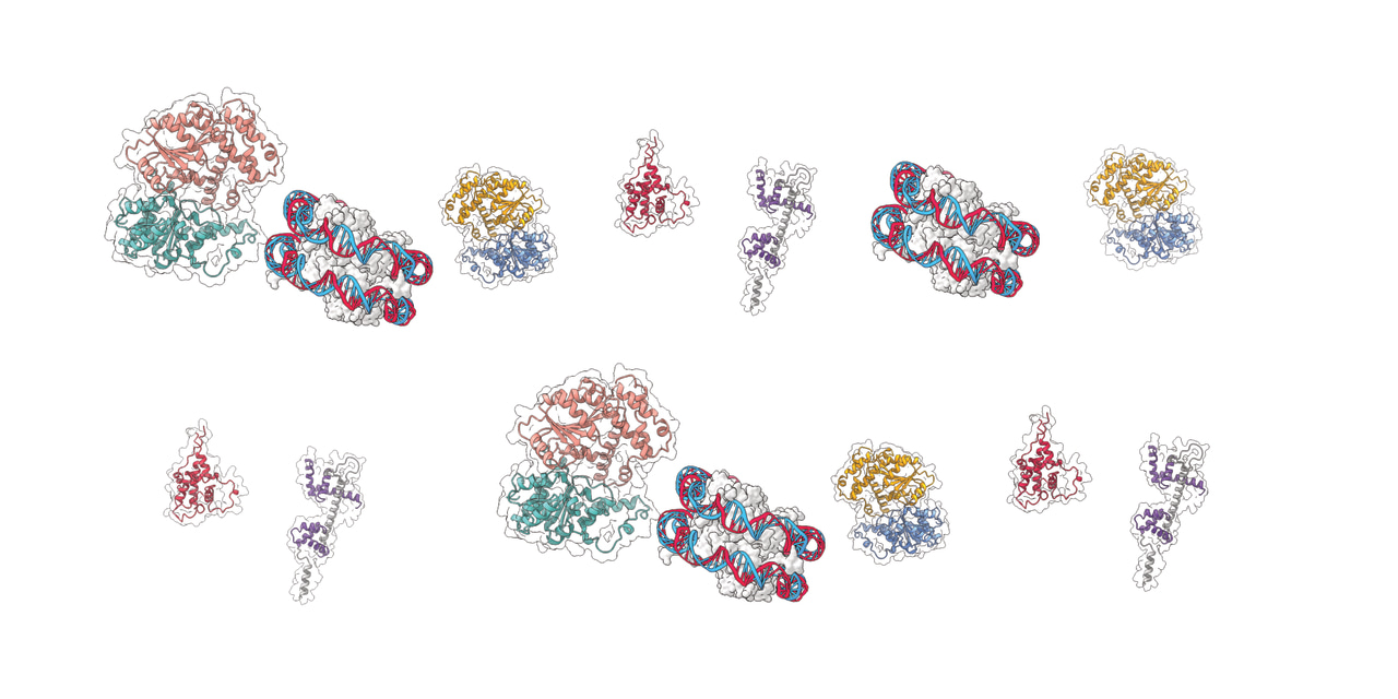 Open Sesame: The Protein Behind Parasite Stage Switching