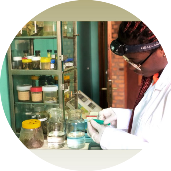 Go to the profile of Deborah  Anyawenna Amobey