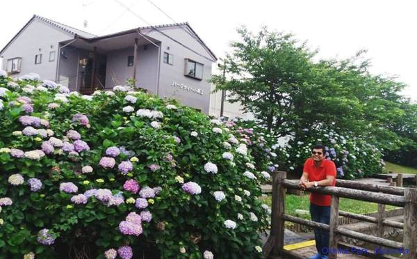 Go to the profile of Muhammad Arifur Rahman