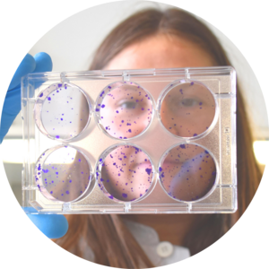 Go to the profile of Ielizaveta Gorodetska