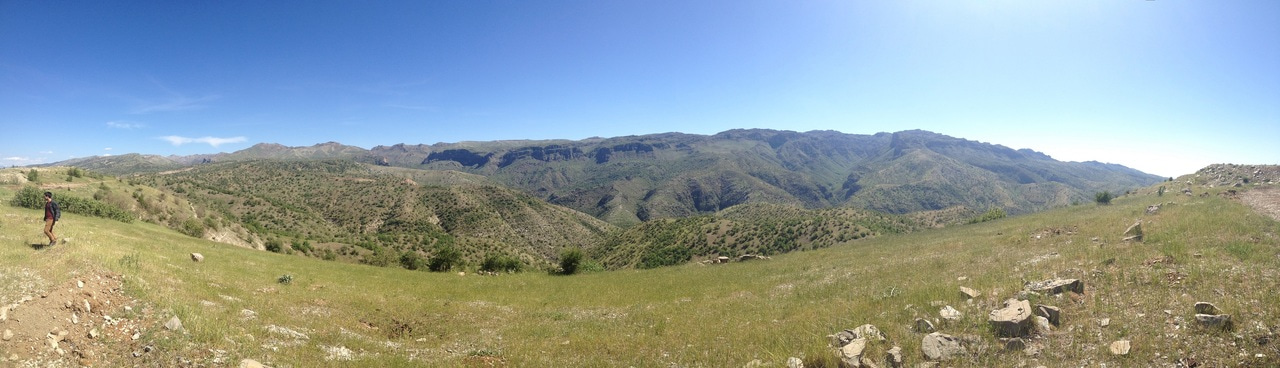 Behind the Scenes: The Hunt for Wild Chickpeas.