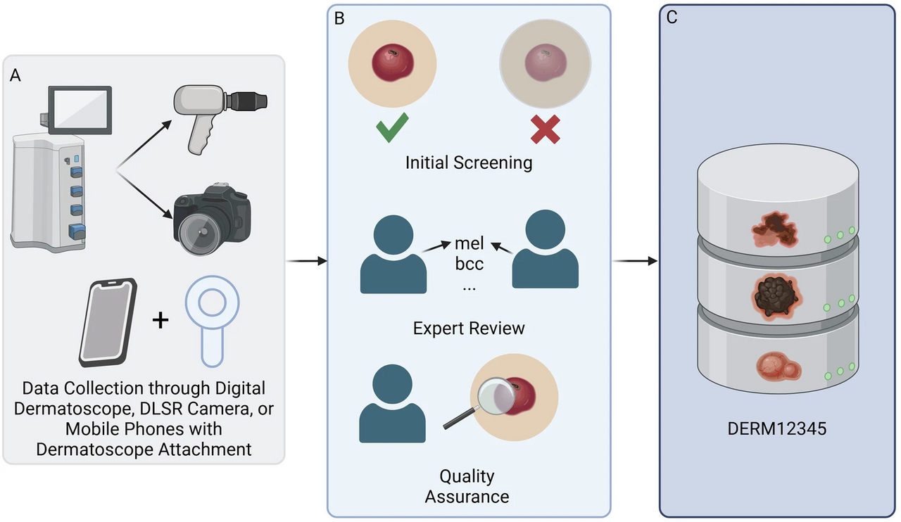 DERM12345: A Large, Multisource Dermatoscopic Skin Lesion Dataset with 40 Subclasses