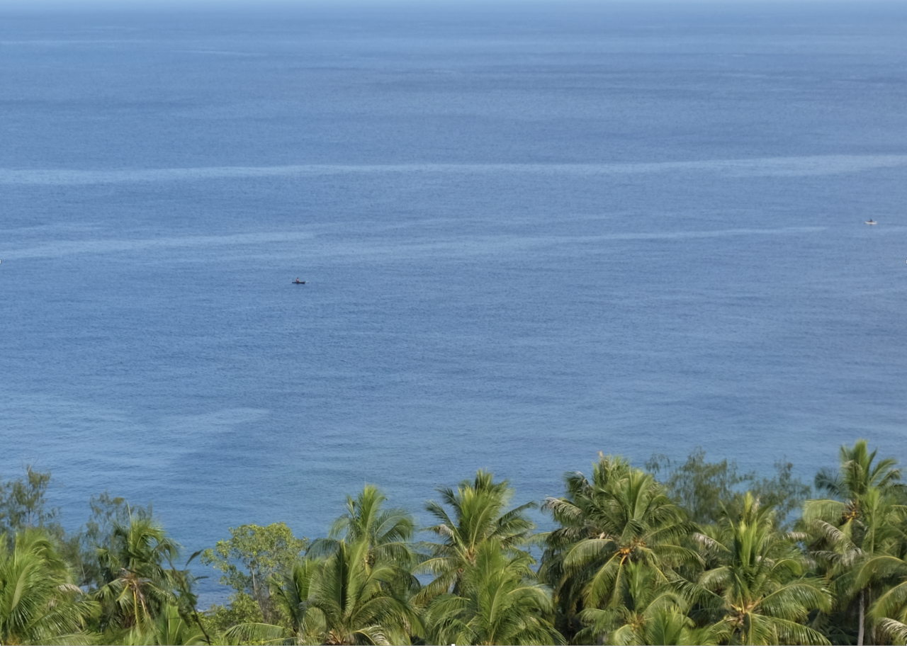 Language continuity despite a major population turnover in Vanuatu, Remote Oceania 