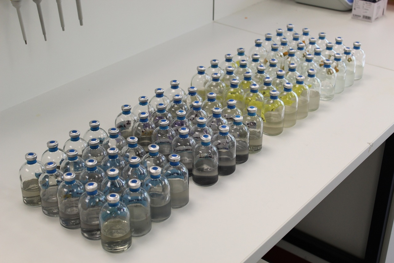 Novel insights into the physiology of biological methane production