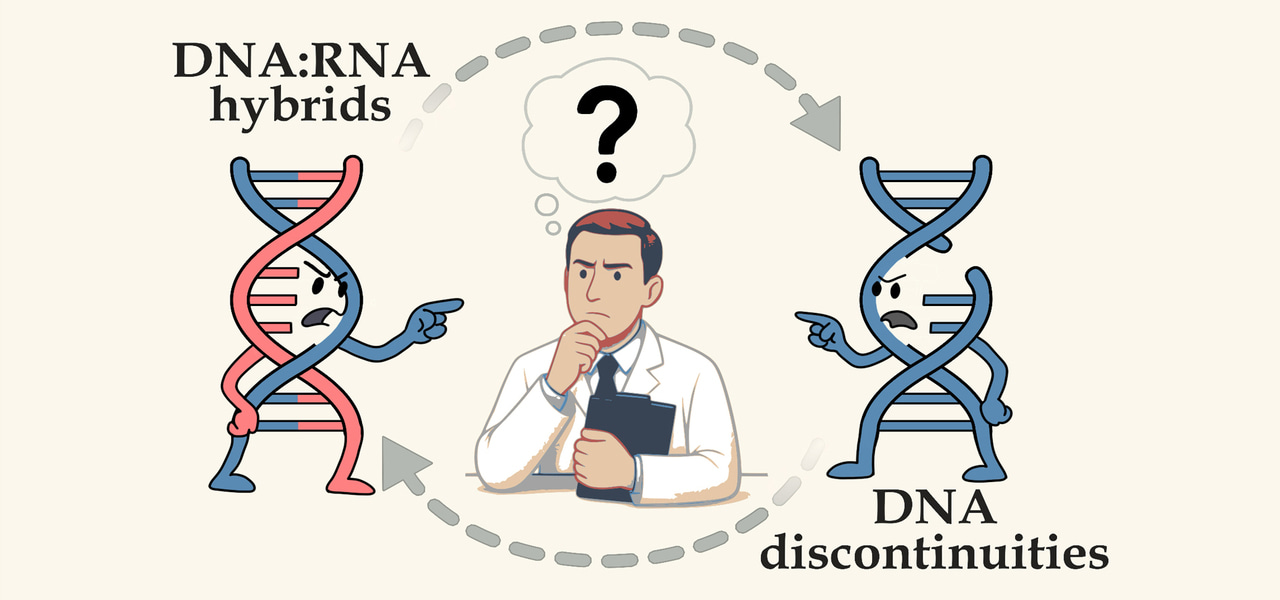R-loops and Genetic Instability: a Chicken and Egg Problem