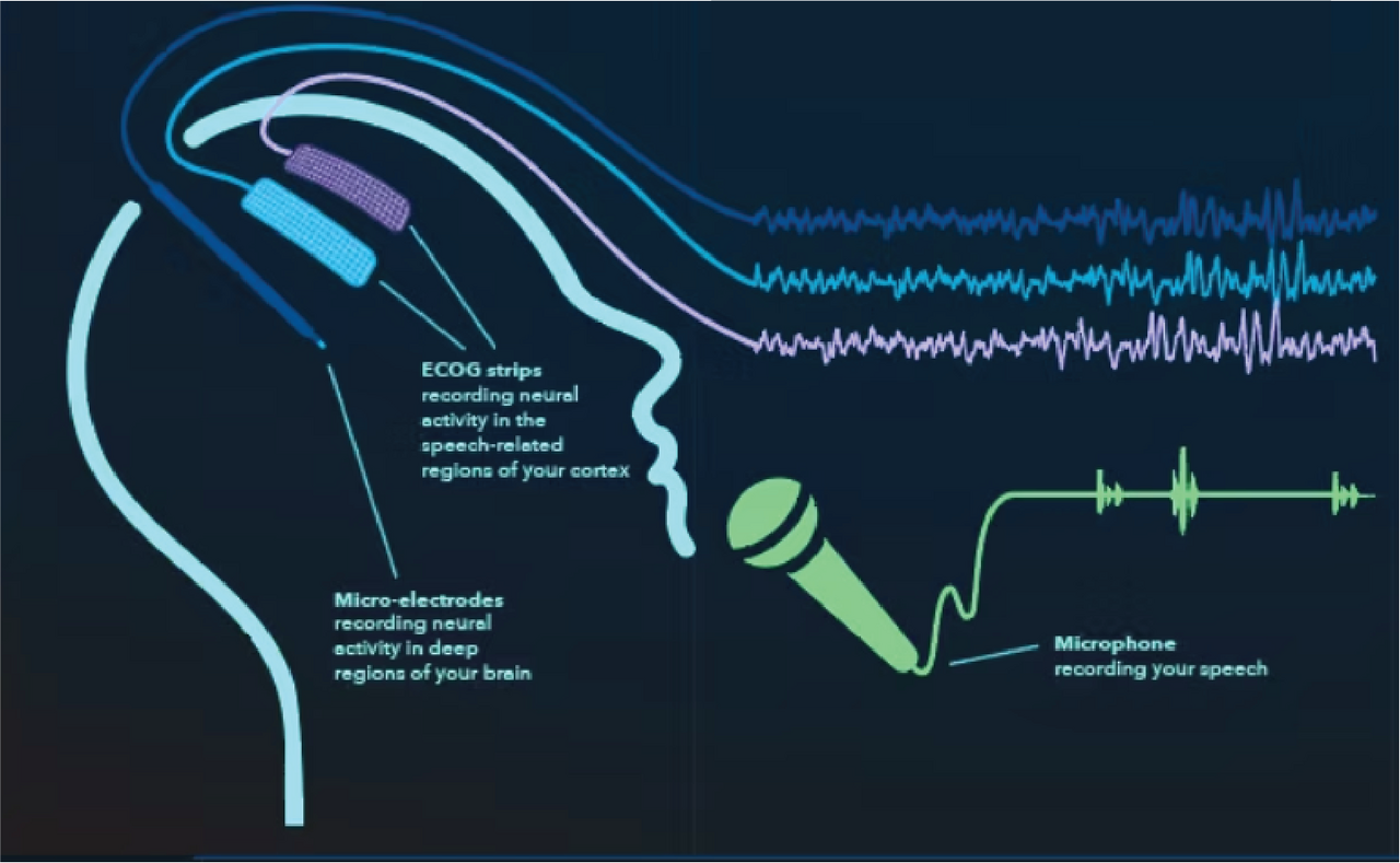 Synchrony in Speech: Revealing How Deep Brain Regions Communicate During Speaking