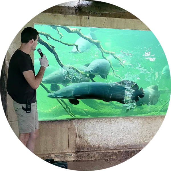 Go to the profile of Fabien RAOUANE