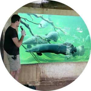 Go to the profile of Fabien RAOUANE