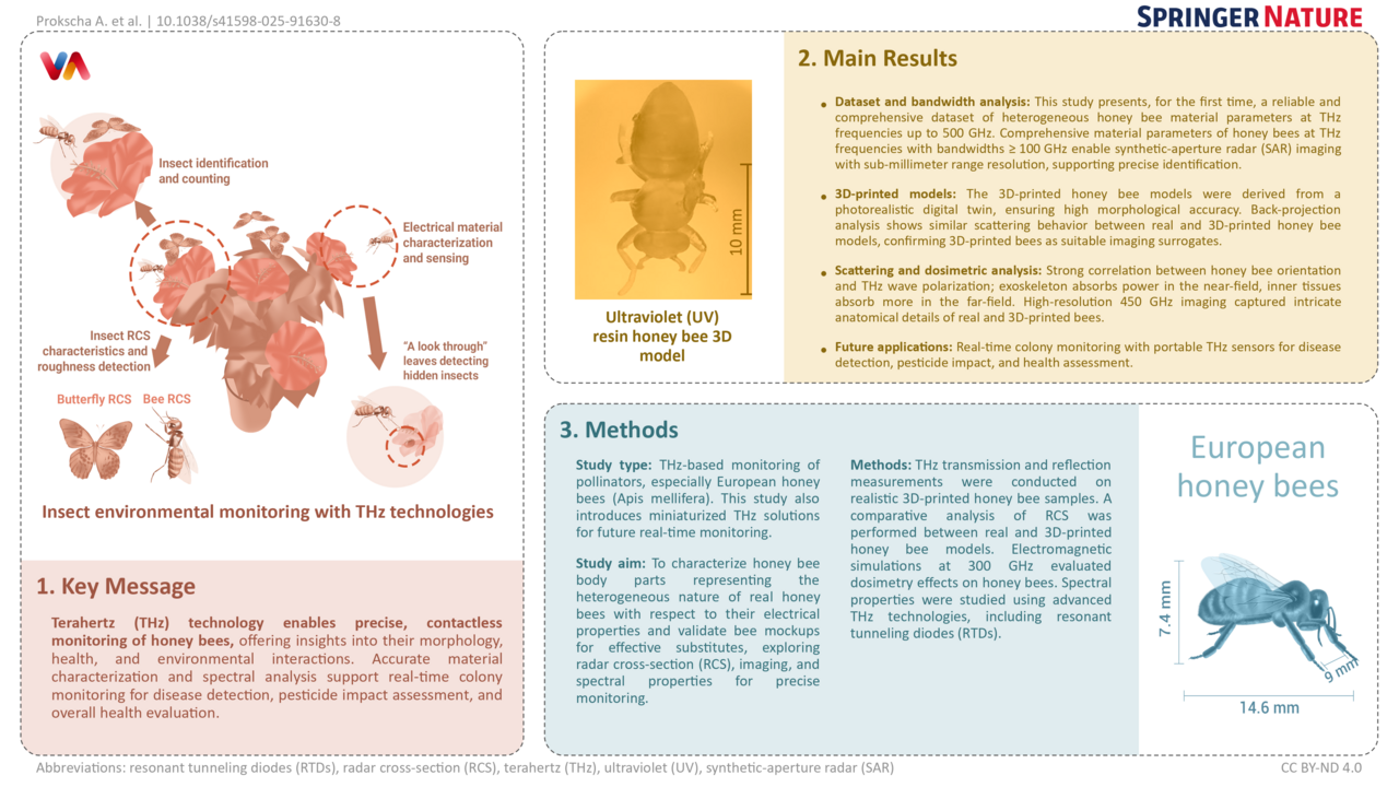 When Terahertz Meets Honey Bees: An Interdisciplinary Research Journey