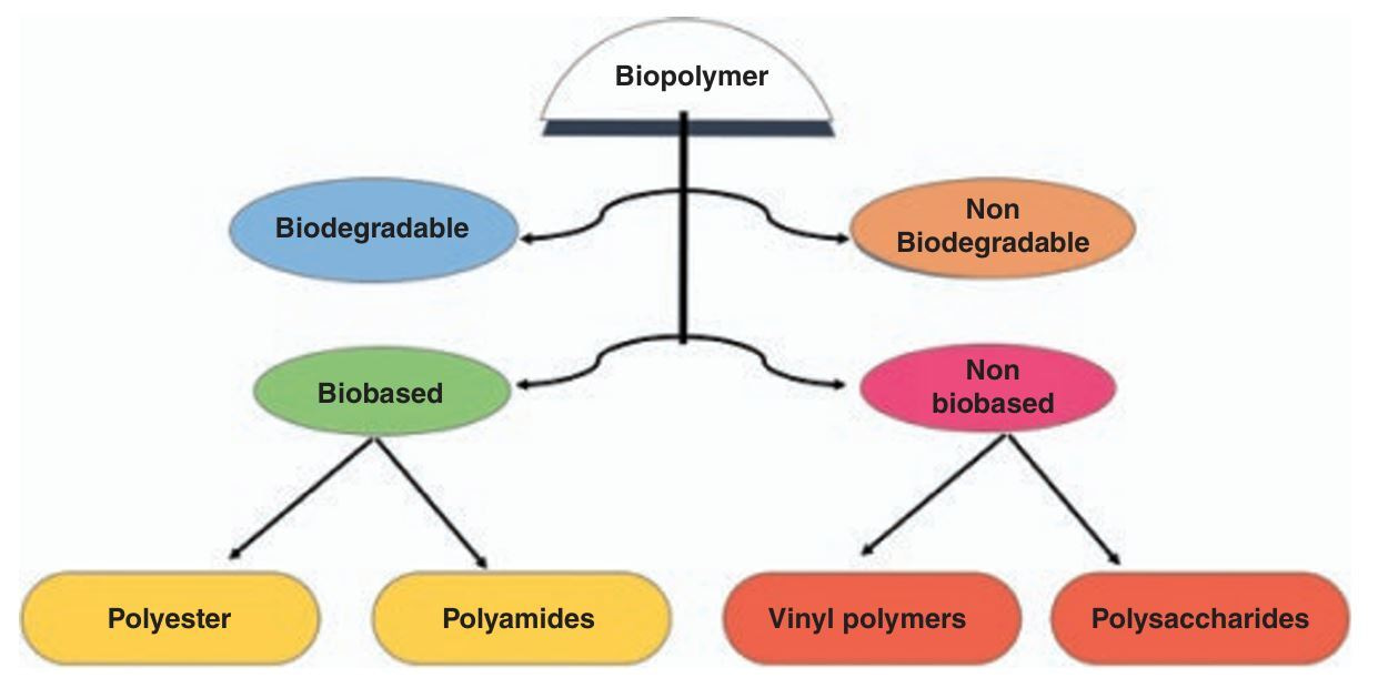 Introduction to Biopolymers, Their Blend, IPN s, Gel, Composites, and Nanocomposites