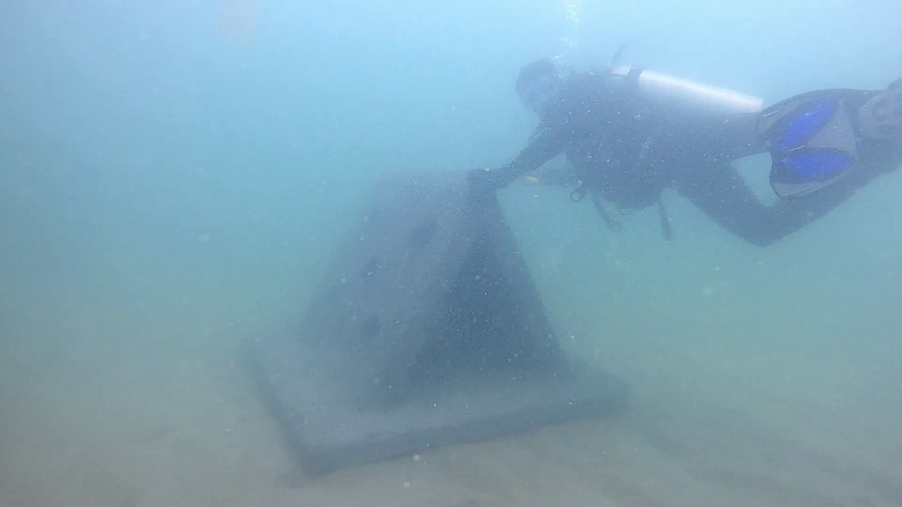 Marine Biologist Mission 