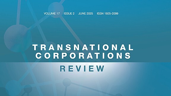 Looking under the carpet: A granular approach to the unusual productivity growth in Ireland