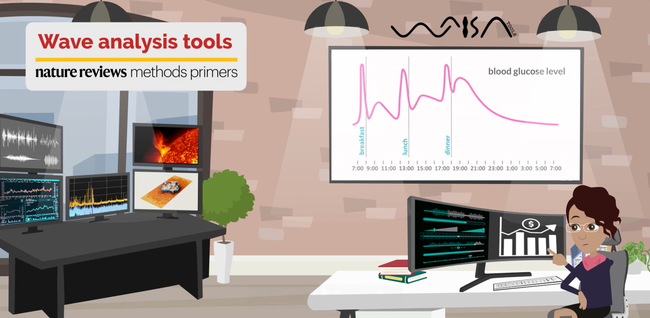 Wave analysis tools: why choosing the right method matters
