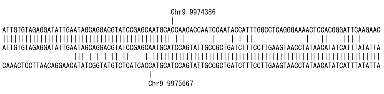 Looking at it from both directions
