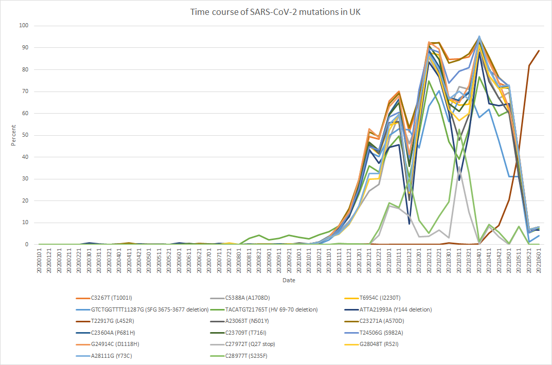 Real-time Evolution: Monitoring SARS-CoV-2 Mutations via the PED Algorithm