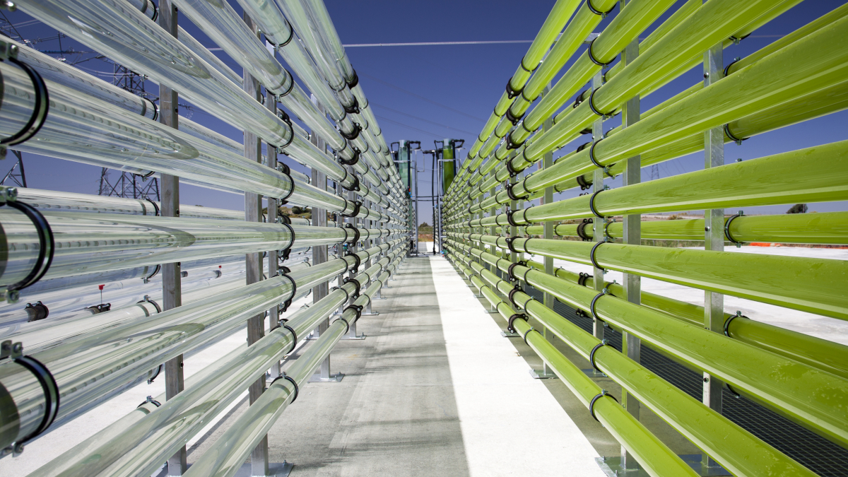 Call for papers: Carbon capture and conversion