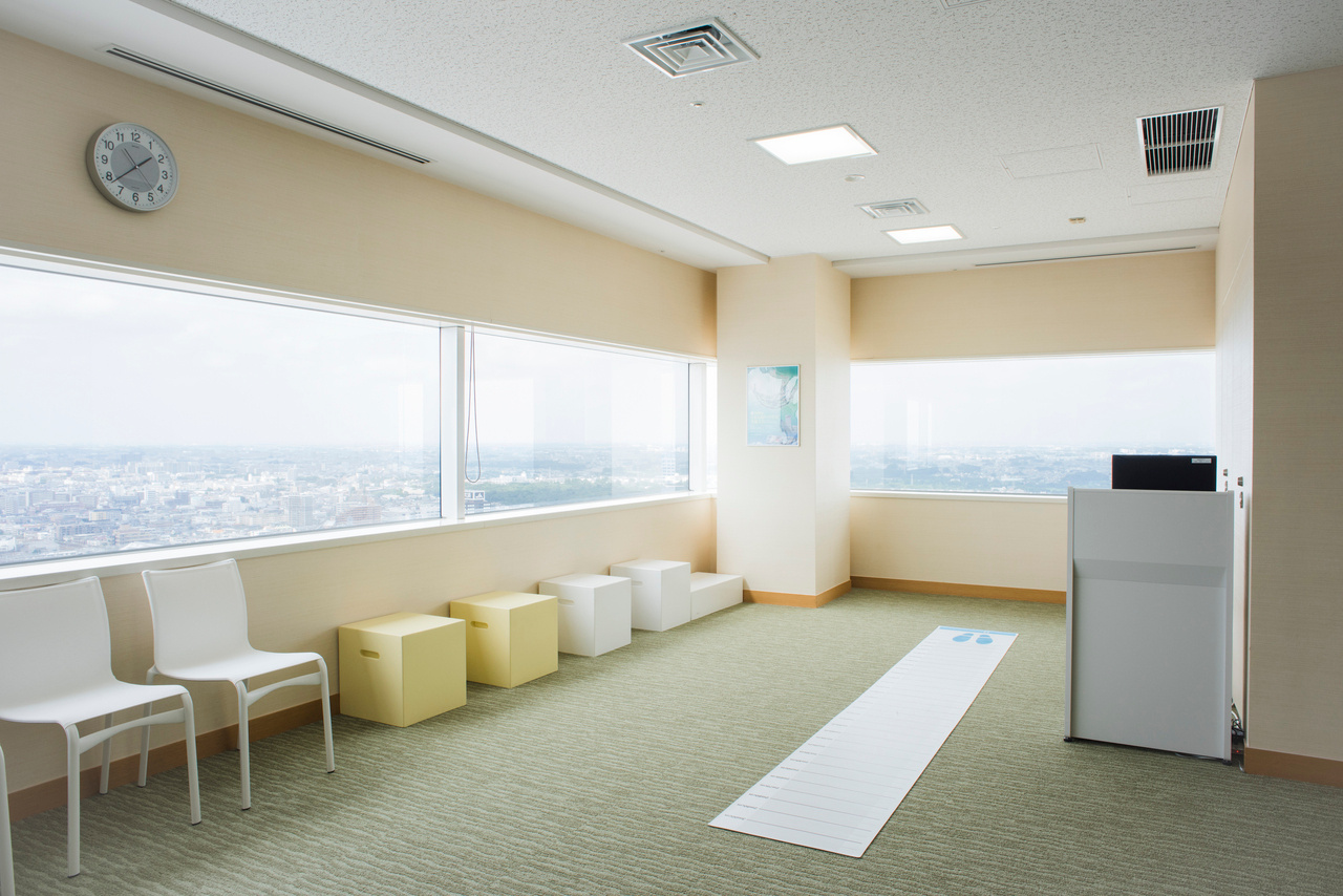 Subjective Walking Speed as an Early Signal of Mobility Decline in Health Checkups