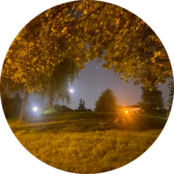 Go to the profile of Eva Constanze Weiß