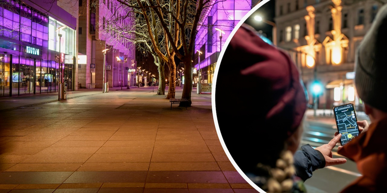 “Citizen science illuminates the nature of city lights”:  citizen scientists insights into the research project “Nachtlichter”